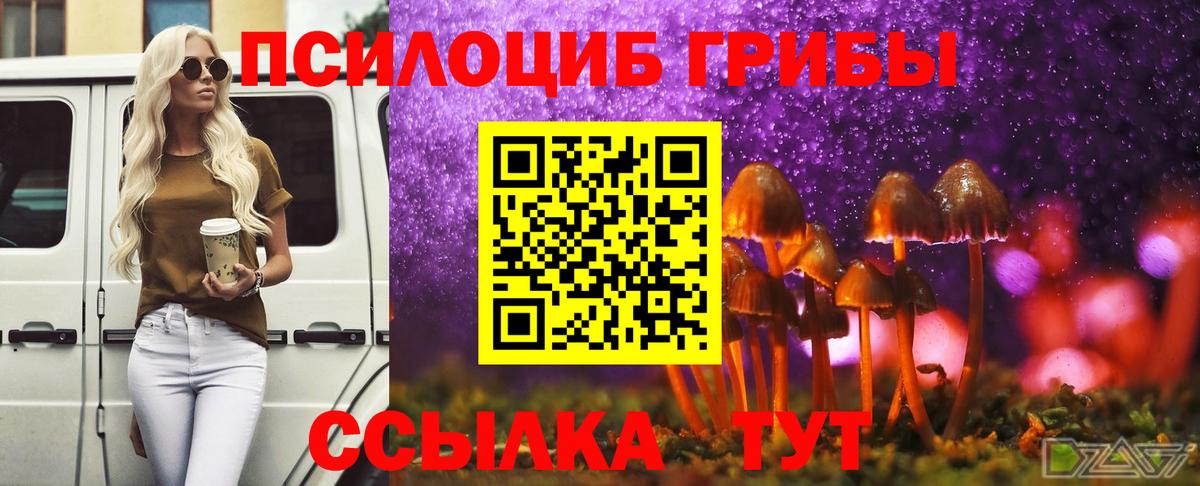 Псилоцибиновые грибы ЛСД Каспийск