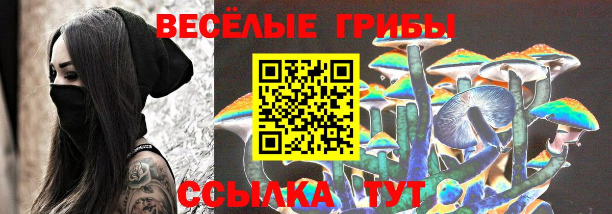 Каспийск  Псилоцибиновые грибы GOLDEN TEACHER  Вход с VPN 